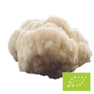 Phoenix Origin Bio Hericium Pilzpulver – 100 g