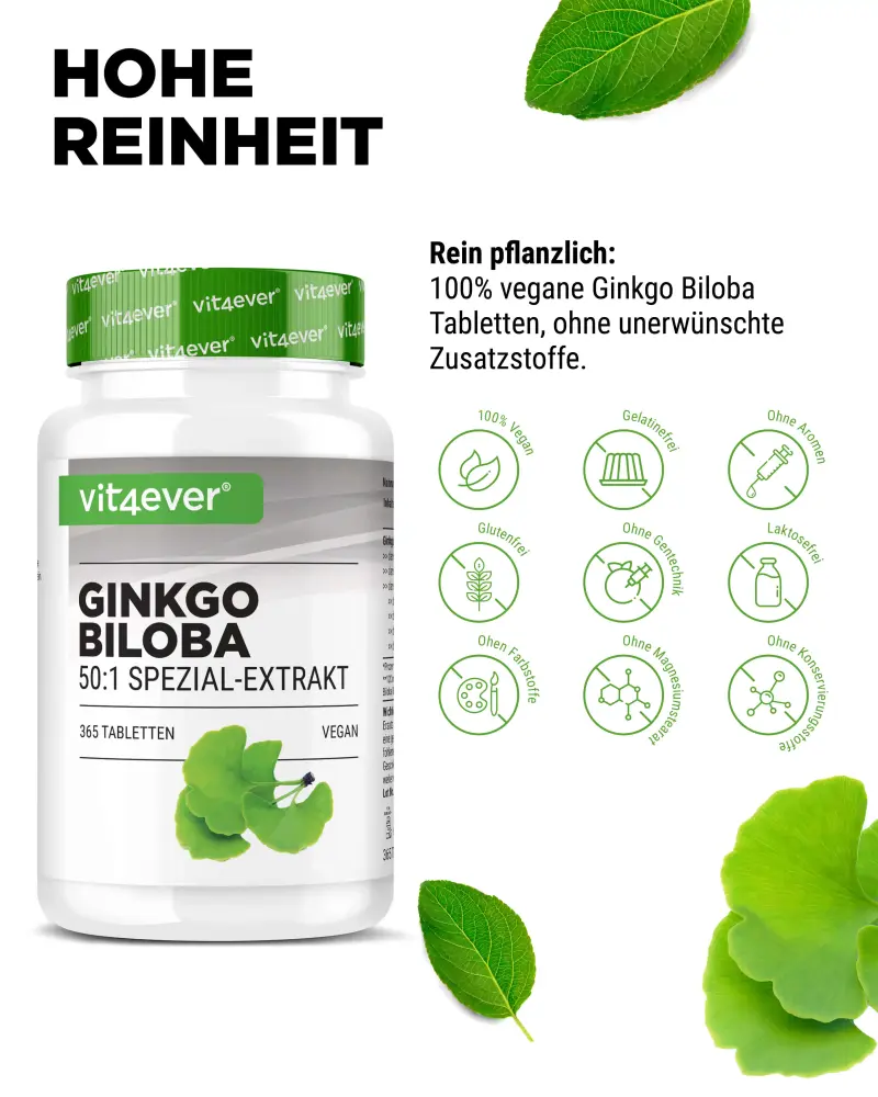 Vit4ever Ginkgo Biloba 50:1 Extract – 365 Tablets – Internationales Etikett