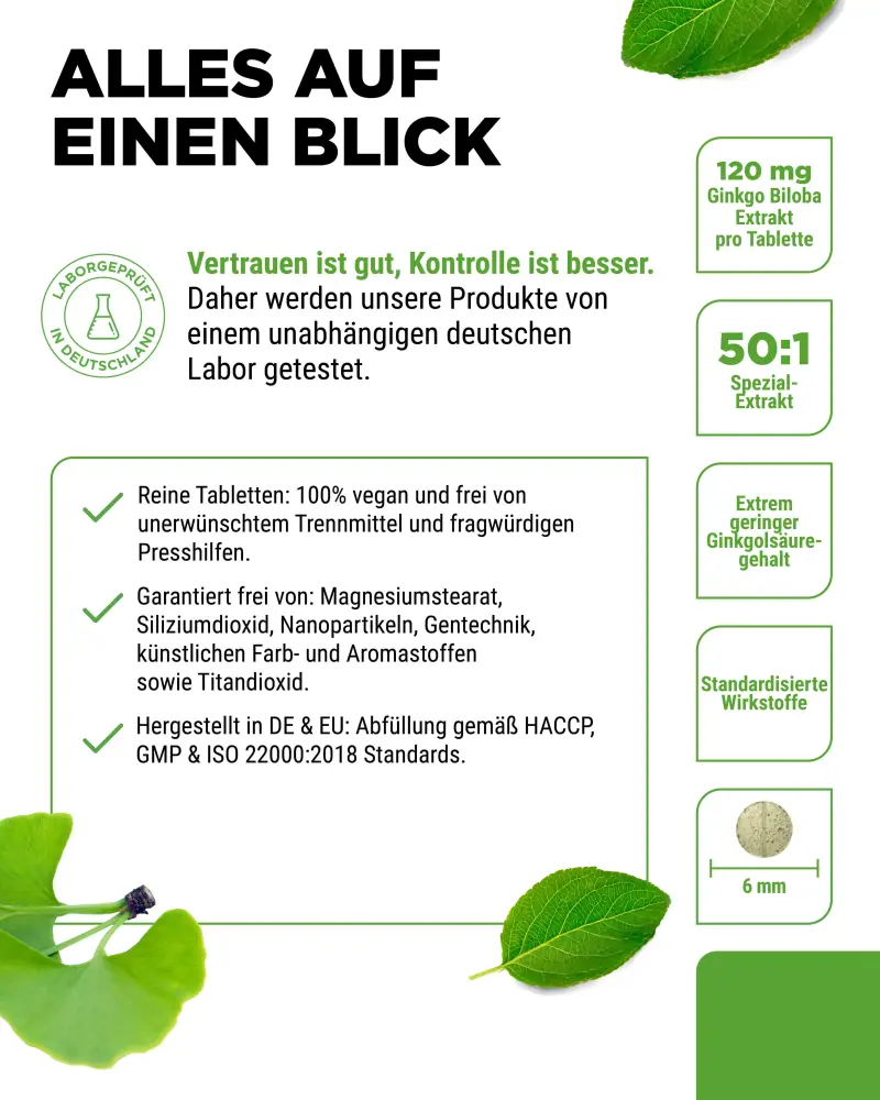 Vit4ever Ginkgo Biloba 50:1 Extract – 365 Tablets – Reinheit & Eigenschaften