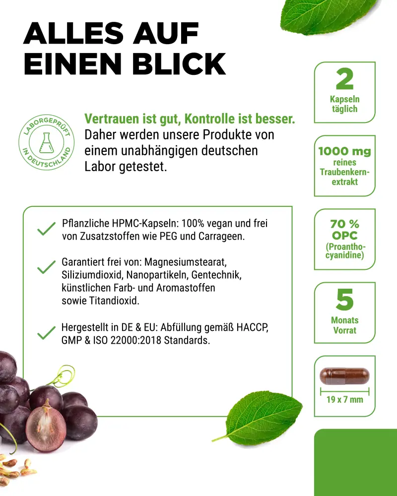 Vit4ever OPC Pure – 300 capsules – Reinheit & Eigenschaften