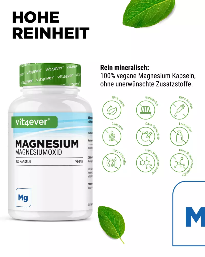 Vit4ever Magnesiumoxide – 365 capsules – Internationales Etikett