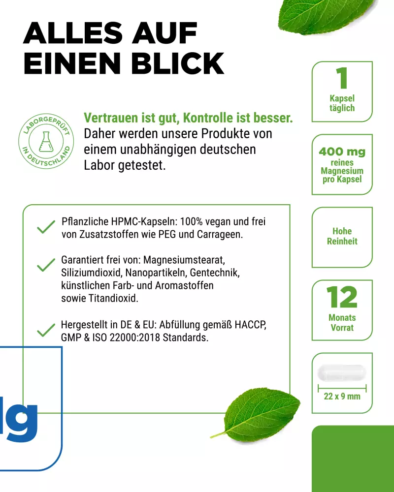 Vit4ever Magnesiumoxide – 365 capsules – Reinheit & Eigenschaften