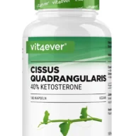 Vit4ever Cissus quadrangularis extract – 180 capsules – Vorderseite