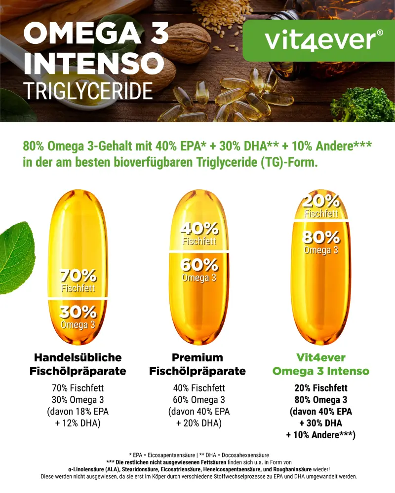 Vit4ever Omega 3 Intenso Fish Oil – 365 capsules