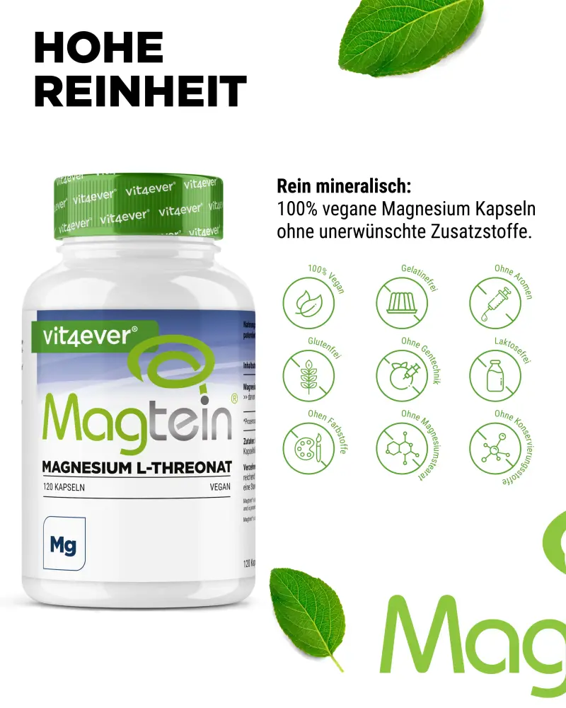 Vit4ever Magtein® Magnésium L-Thréonate – 120 gélules – Internationales Etikett