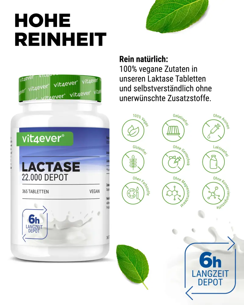Vit4ever Lactase Depot 22000 – 365 tablets – Internationales Etikett