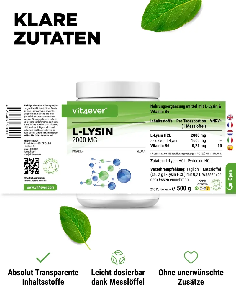 Vit4ever L-lisina HCL in polvere – 500 g – Nährwerte