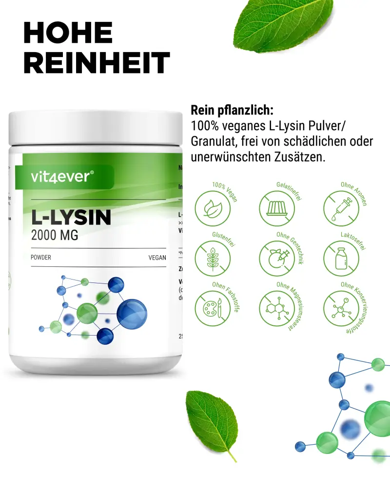 Vit4ever L-lisina HCL in polvere – 500 g – Internationales Etikett